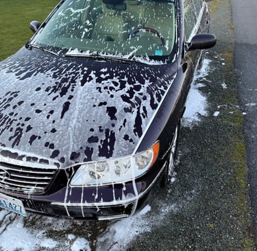 soapy purple car hood