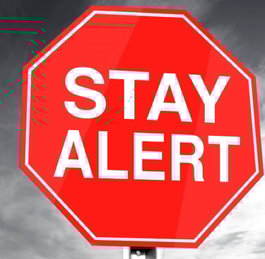 Urgent red flags requiring immediate advocacy action."]