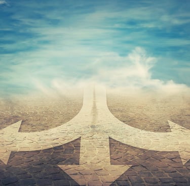 Visual representation of school choice options