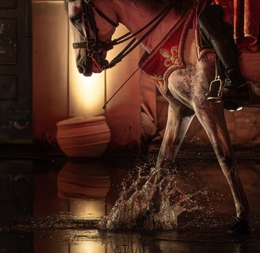 photo photographe 66 portraits shooting