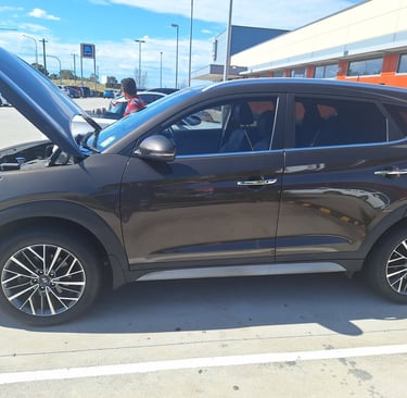 Prepurchase Car Inspection In BellaVista