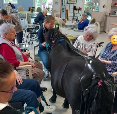 Groupe de personnes âgées dans un ephad autour d'un cheval noir