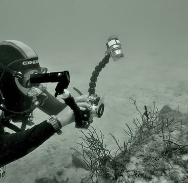 Shawn Murphy in his early days with the canon S10 shooting a ghost pipe fish