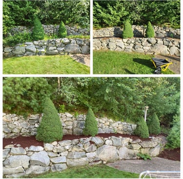 newly installed mulch in landscape
