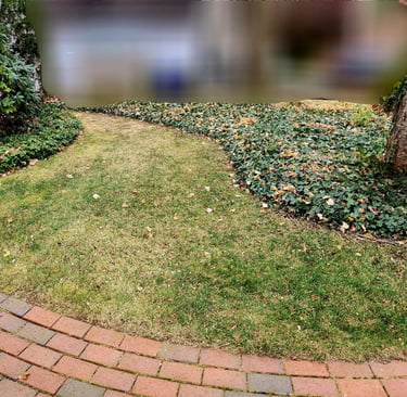 Leaf Cleanup, Spring Cleanup