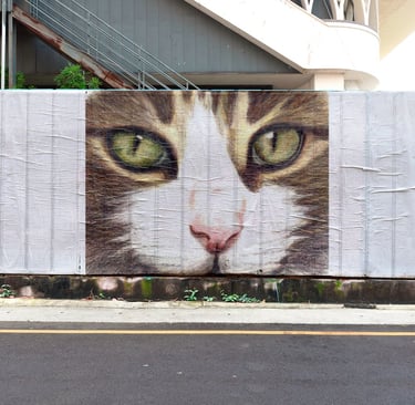 portrait de chat au crayon de couleur appliqué à une cloture