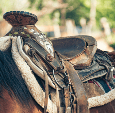 western saddle on a horse