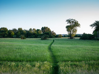 Alléger la charge mentale