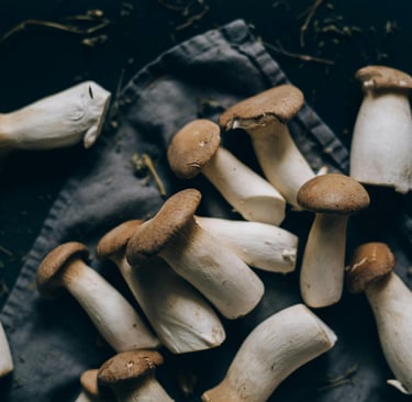 Il fungo Cardoncello italia