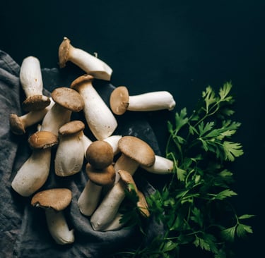 funghi ostrica reale in vendita