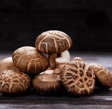 shiitake fresci piemonte