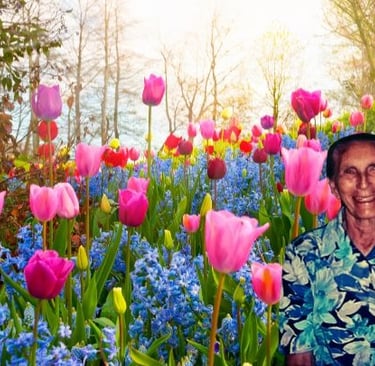 Homenagem a Maria Lira