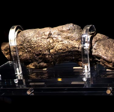 A fossil poo