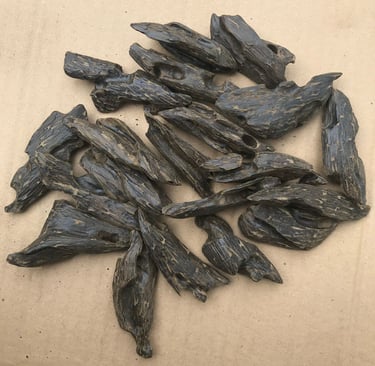 Mohasan Bentley / Sarang Semut