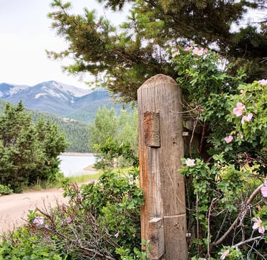 Photo by author, Glacier National Park