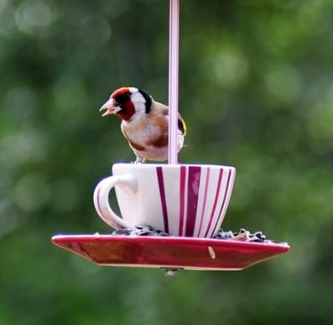 vaisselle recyclée en mangeoires oiseaux
