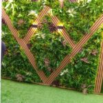 العشب الجداري بالقسيم مؤسسة فردوس النسيم 