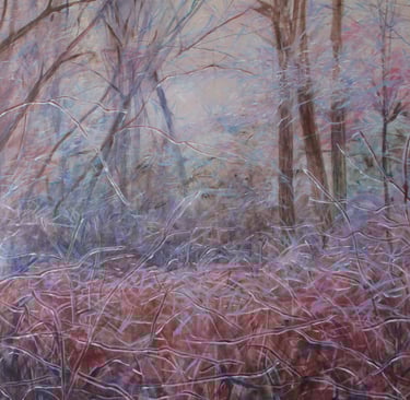 ice storm in the woods