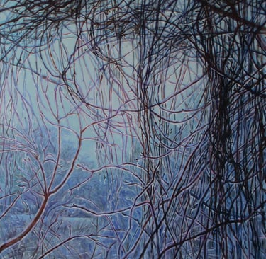 Ice storm with ice on the vines