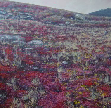 hill in Iqaluit with red autumn colour