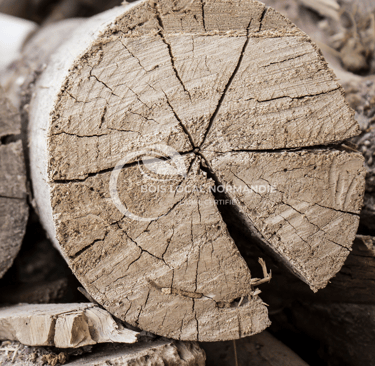 un morceau de bûche fendue au milieu