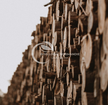 une pile de bûches empilées les unes sur les autres