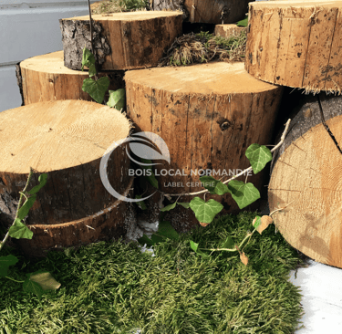 des gros morceaux de bois