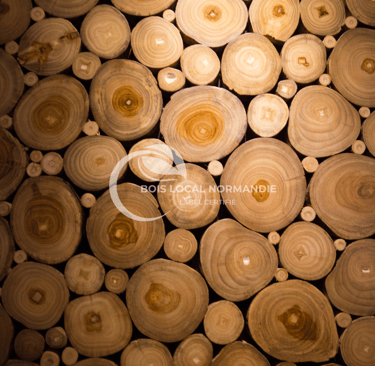 une vue en gros plan sur des bûches