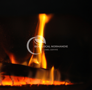 une flamme en gros plan