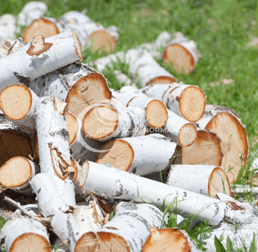 un tas de bois en vrac