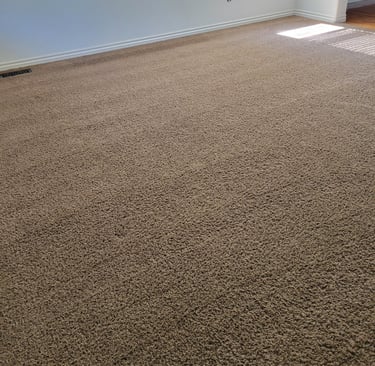 King Organic Clean, Beautiful Finished Results of Brown carpet 