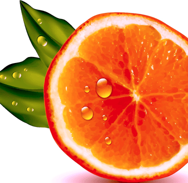 King Organic Clean, Icon Logo