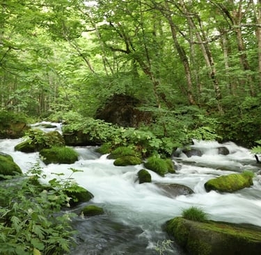 Gemeinschaft am Wasser: Familie verbindet Generationen