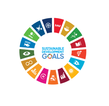 SDG_Wheel