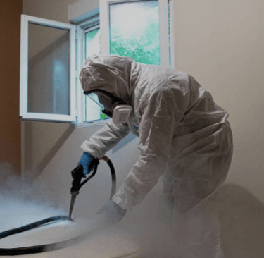 Traitement thermique contre les punaises de lit