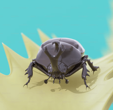 Image animée d'insecte