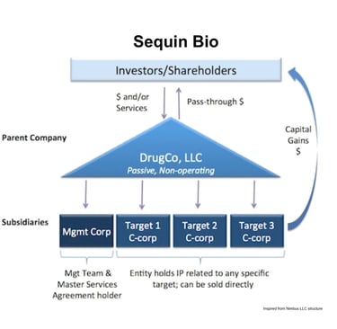 Sequin Bio Structure of Company