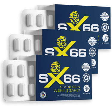 SX66