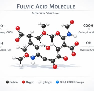 a diagram of a FULVIC acid IN SHILAJIT