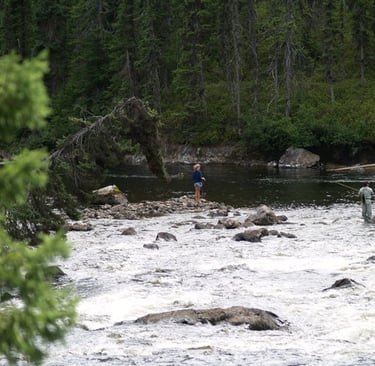 fly fishing in a river 