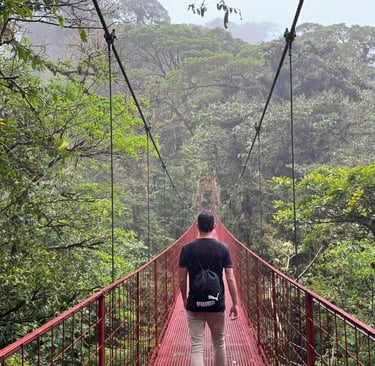 Monteverde Cloud Forest