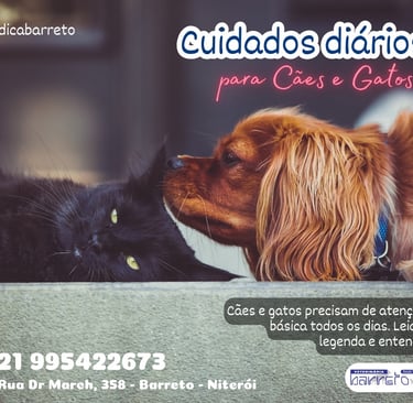 Cachorrinho cheirando um gatinho deitado
