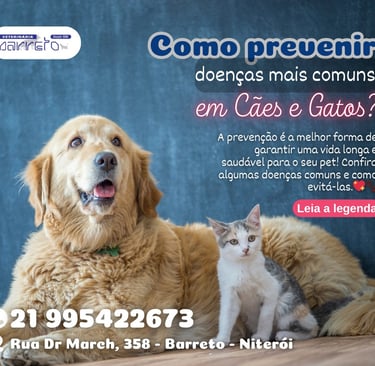 cachorro grandão e um gatinho filhote