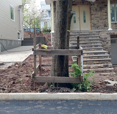 a tree with its roots destroyed by construction activity