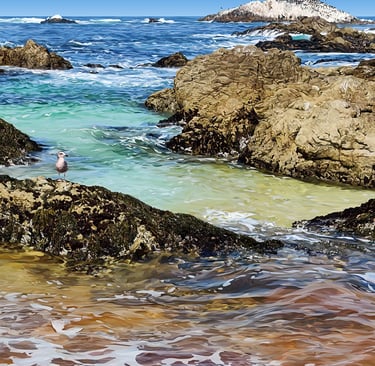 BIRD ROCK, vector hyperrealism by Califormetry