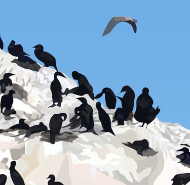 BIRD ROCK – 17 Mile Drive Art - hyperrealistic vector art - detail 6