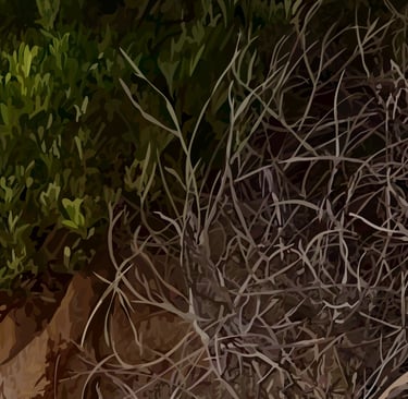 STAIRWAY TO HEAVEN - Laguna Beach Sunset Art - detail 3