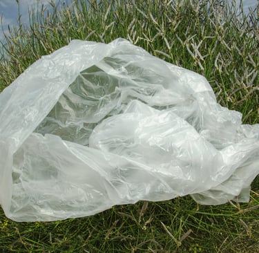 Plastic Vs Jute bag decomposition