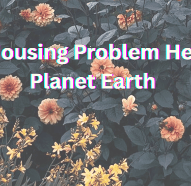 Oragne and yellow flowers as the background. Text reads "the housing problem here on planet earth"