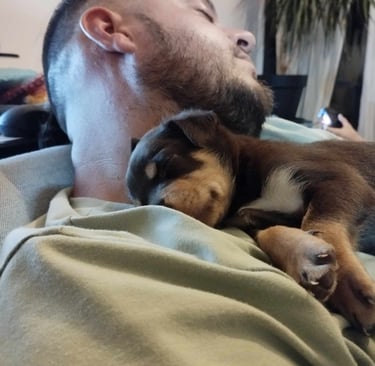 U'éris de la grotte des Oneiroi Working Kelpie